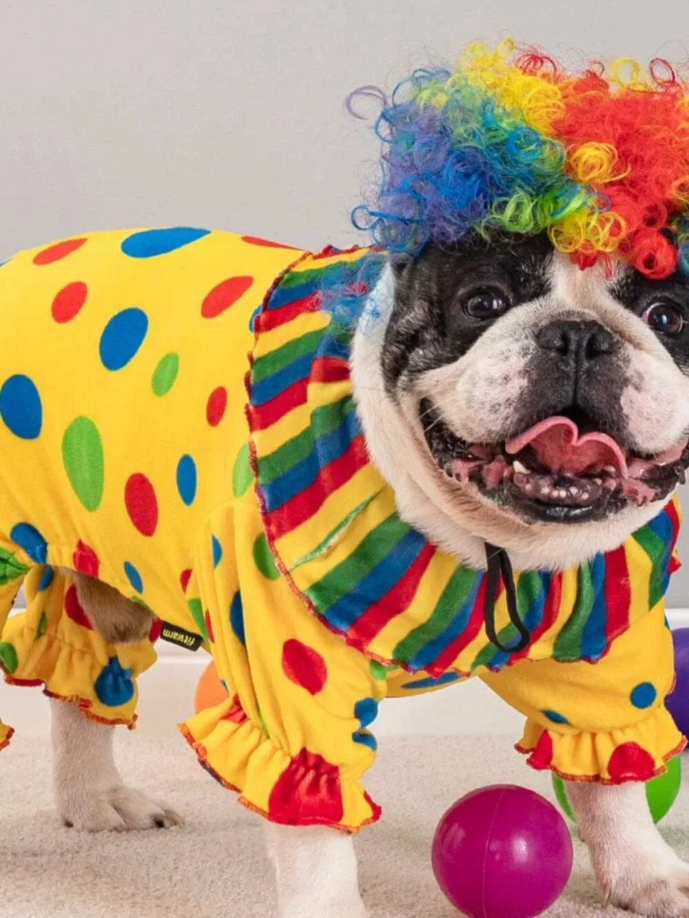 NWT Fitwarm Colorful Dots Halloween Birthday Clown Costume Dogs Medium